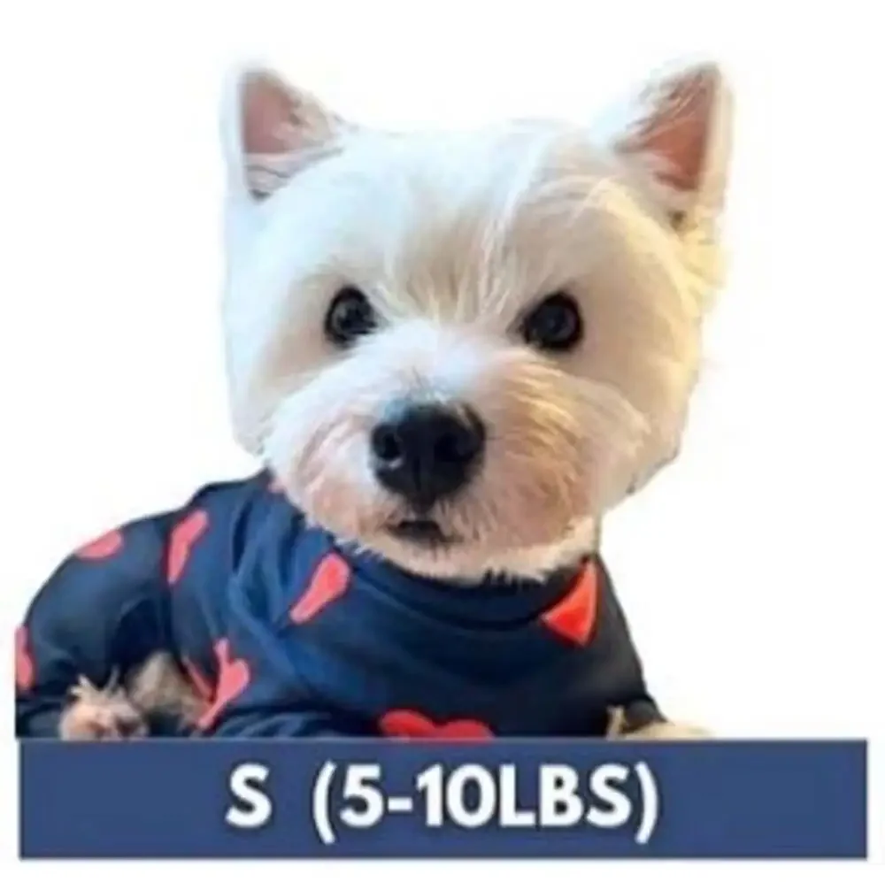 Spark Paws spark paws